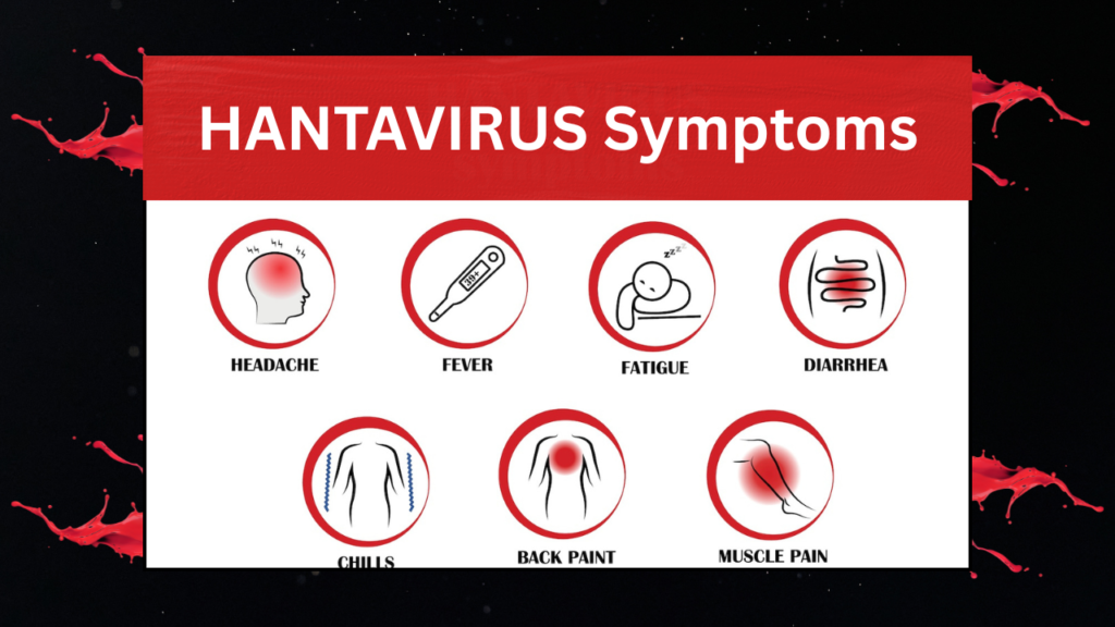 hantavirus symptoms